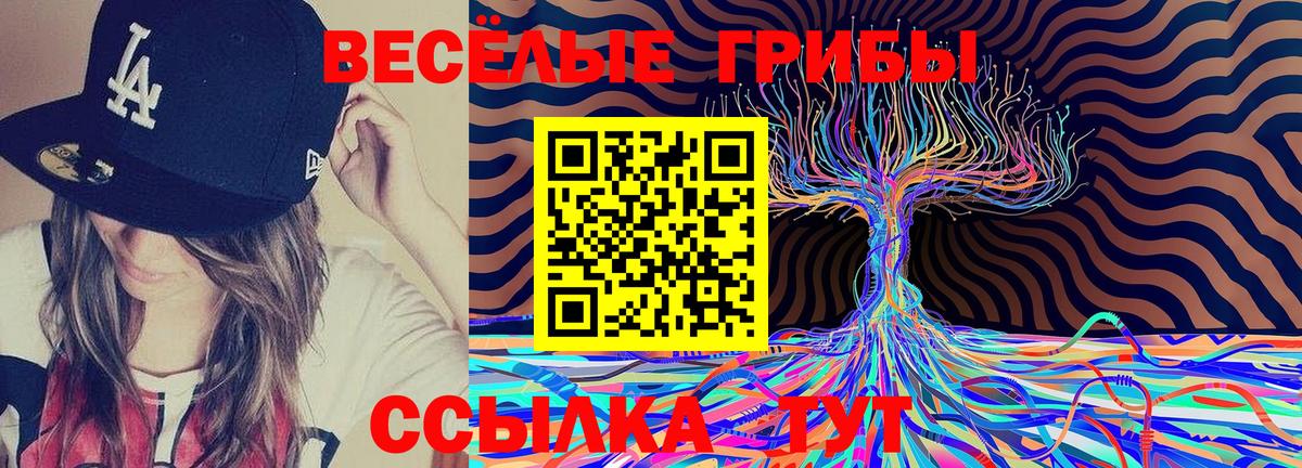 Свободный  Галлюциногенные грибы Psilocybe  Вход с VPN  Галлюциногенные грибы Psilocybine cubensis 
